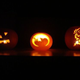 Image for article titled Today's Pumpkin Post Brought To You By Cuteness